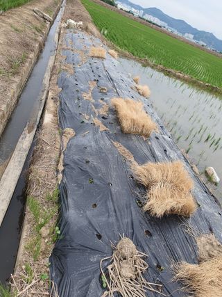 김광신님의 🎉상반기 결산 자랑하기 · 참여글 작성글 사진