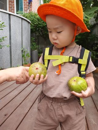 김광신님의 🎉상반기 결산 자랑하기 · 참여글 작성글 사진