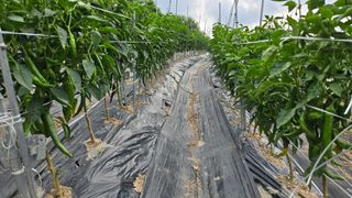 김병섭님의 🎉상반기 결산 자랑하기 · 참여글 작성글 사진