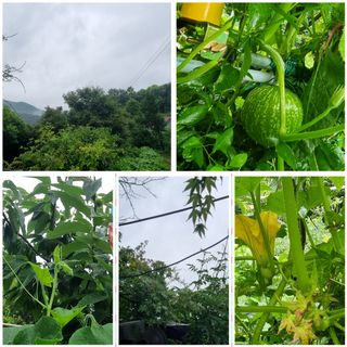 달방구님의 🎉상반기 결산 자랑하기 · 참여글 작성글 사진