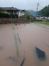 팜모닝 🎉상반기 결산 자랑하기·참여글 게시글 이미지