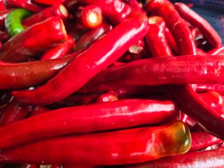 이정홍님의 농사, 무엇이든 물어보세요! · 참여글 작성글 사진