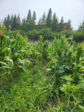 천지창조님의 자유주제 · 자유게시판 작성글 사진