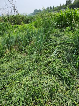 천지창조님의 자유주제 · 자유게시판 작성글 사진