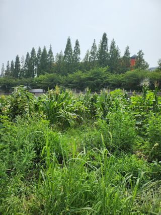 천지창조님의 자유주제 · 자유게시판 작성글 사진