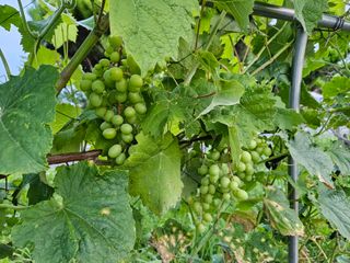 남옥선님의 자유주제 · 자유게시판 작성글 사진