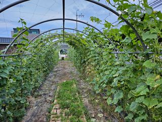 남옥선님의 자유주제 · 자유게시판 작성글 사진