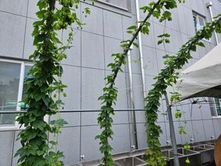 남옥선님의 자유주제 · 자유게시판 작성글 사진