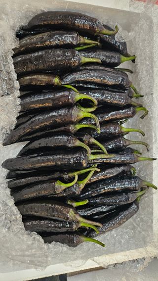 남옥선님의 자유주제 · 자유게시판 작성글 사진