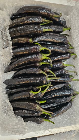 남옥선님의 자유주제 · 자유게시판 작성글 사진