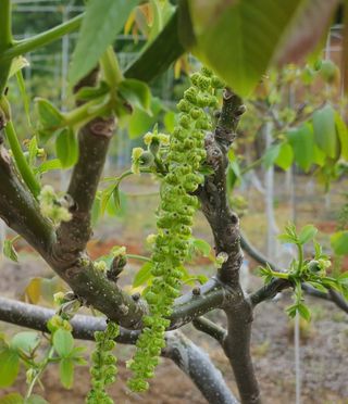 안씨농원님의 자유주제 · 사진전 작성글 사진