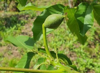안씨농원님의 자유주제 · 사진전 작성글 사진