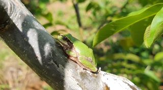 안씨농원님의 자유주제 · 사진전 작성글 사진