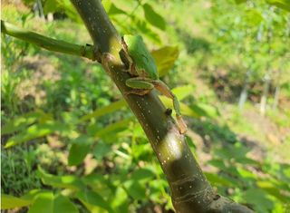 안씨농원님의 자유주제 · 사진전 작성글 사진