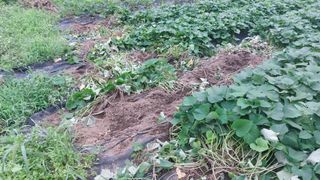 할배님의 🎉상반기 결산 자랑하기 · 참여글 작성글 사진