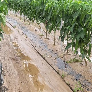 희상님의 자유주제 · 자유게시판 작성글 사진