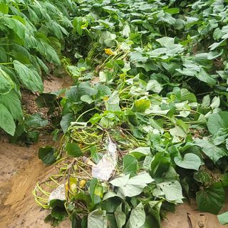 희상님의 자유주제 · 자유게시판 작성글 사진