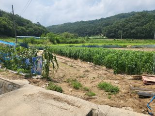 희상님의 자유주제 · 자유게시판 작성글 사진