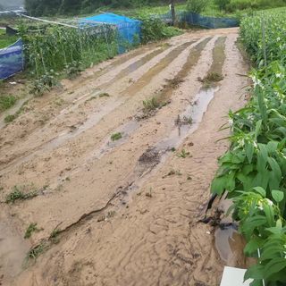 희상님의 자유주제 · 자유게시판 작성글 사진