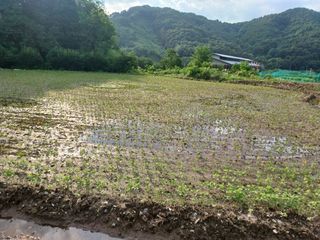서준식님의 🎉상반기 결산 자랑하기 · 참여글 작성글 사진