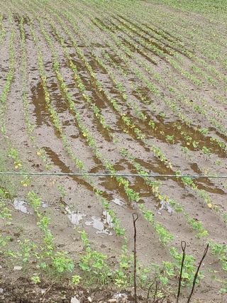 서준식님의 🎉상반기 결산 자랑하기 · 참여글 작성글 사진