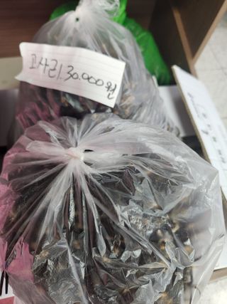 배순녀님의 🎉상반기 결산 자랑하기 · 참여글 작성글 사진