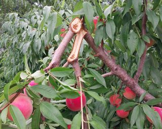 철남 김희곤님의 🎉상반기 결산 자랑하기 · 참여글 작성글 사진