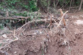 철남 김희곤님의 🎉상반기 결산 자랑하기 · 참여글 작성글 사진