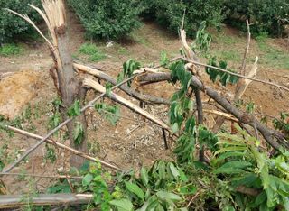 철남 김희곤님의 🎉상반기 결산 자랑하기 · 참여글 작성글 사진