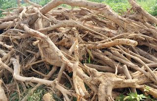 철남 김희곤님의 🎉상반기 결산 자랑하기 · 참여글 작성글 사진