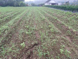 알 수 없음님의 자유주제 · 사진전 작성글 사진