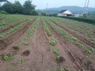 알 수 없음님의 자유주제 · 사진전 작성글 사진