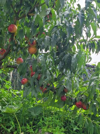 최유진님의 🎉상반기 결산 자랑하기 · 참여글 작성글 사진