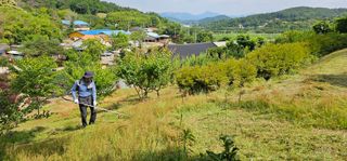 양파5862님의 🎉상반기 결산 자랑하기 · 참여글 작성글 사진