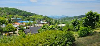 양파5862님의 🎉상반기 결산 자랑하기 · 참여글 작성글 사진