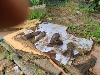 만청님의 작성글 사진