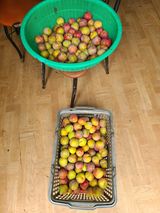 만청님의 작성글 사진