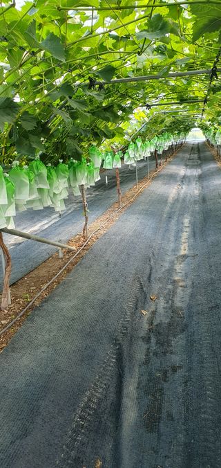 황만달님의 🎉상반기 결산 자랑하기 · 참여글 작성글 사진