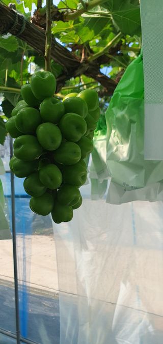 황만달님의 🎉상반기 결산 자랑하기 · 참여글 작성글 사진