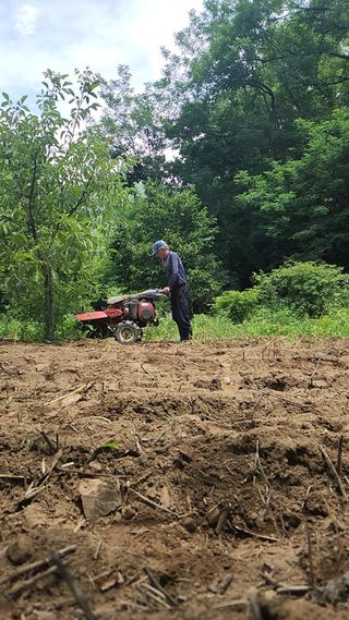 최군환님의 🎉상반기 결산 자랑하기 · 참여글 작성글 사진