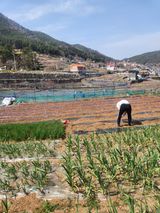 팜모닝 🎉상반기 결산 자랑하기·참여글 게시글 이미지