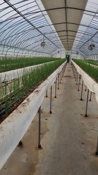 강종구님의 🎉상반기 결산 자랑하기 · 참여글 작성글 사진