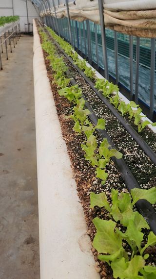 강종구님의 🎉상반기 결산 자랑하기 · 참여글 작성글 사진