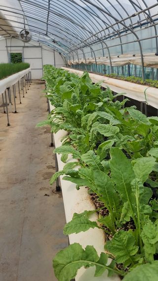 강종구님의 🎉상반기 결산 자랑하기 · 참여글 작성글 사진