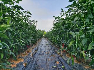 둥이농장(김준태)님의 자유주제 · 자유게시판 작성글 사진