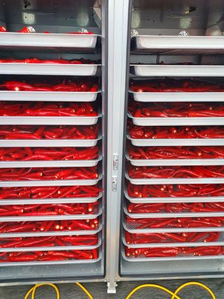 둥이농장(김준태)님의 자유주제 · 자유게시판 작성글 사진