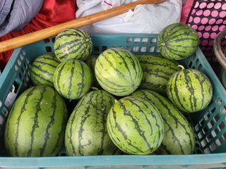 한금숙님의 🎉상반기 결산 자랑하기 · 참여글 작성글 사진