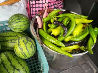 한금숙님의 🎉상반기 결산 자랑하기 · 참여글 작성글 사진