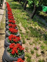 팜모닝 🎉상반기 결산 자랑하기·참여글 게시글 이미지