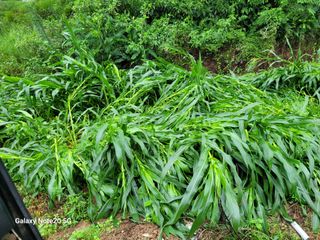 홍무관님의 🎉상반기 결산 자랑하기 · 참여글 작성글 사진